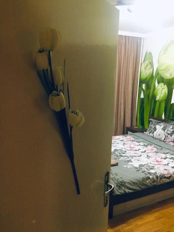 2 Bedrooms With Private Bath And Balcony Near The Airport Софія Екстер'єр фото
